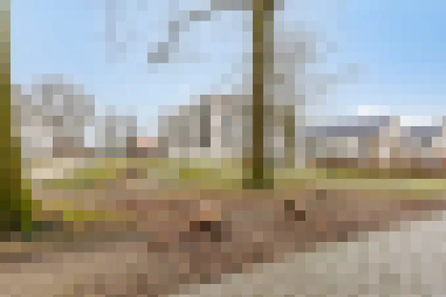 Rijensestraatweg 19 Dongen thumbnail 41