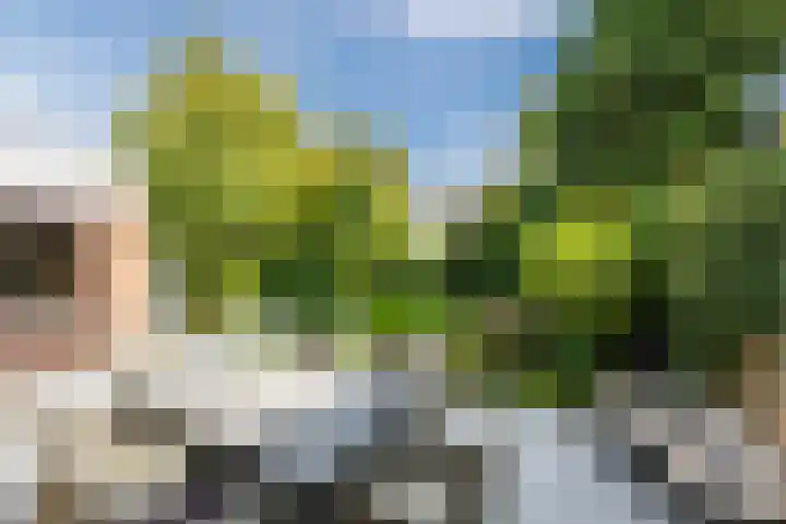Rijersstraat 8 Helmond thumbnail 34
