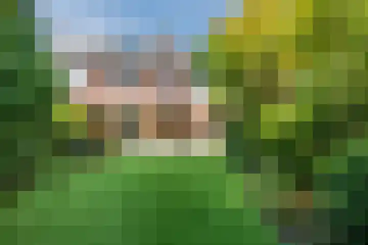 Rijersstraat 8 Helmond thumbnail 37