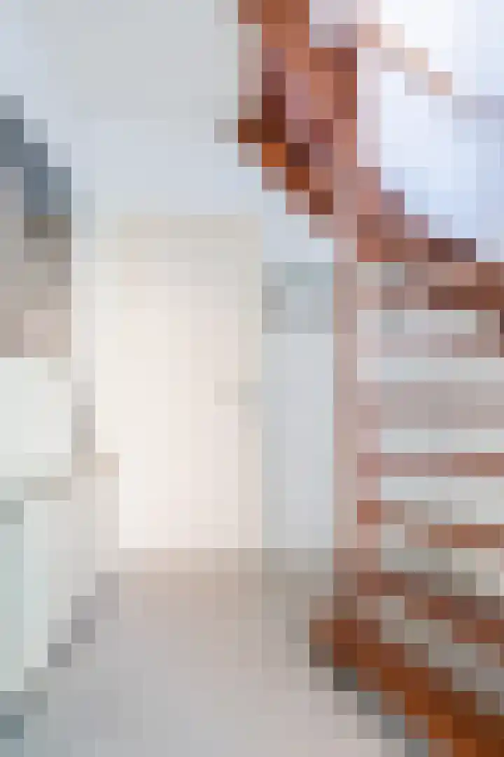 Rijersstraat 8 Helmond thumbnail 7