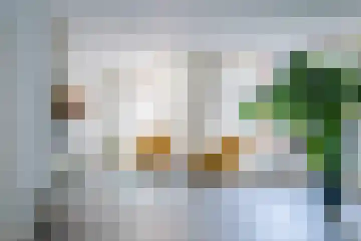 Rijersstraat 8 Helmond thumbnail 8