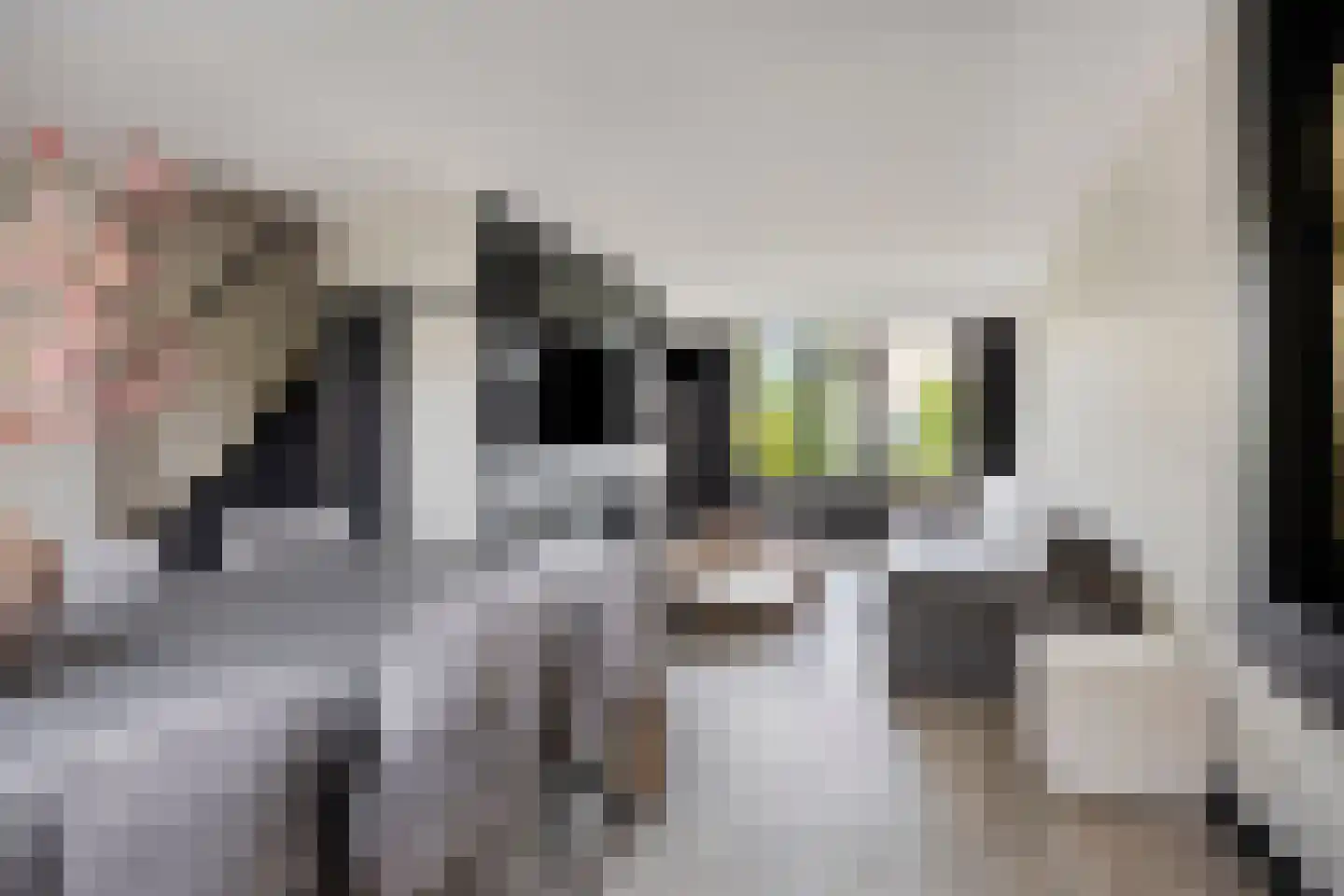 Rijf 31 Berghem thumbnail 10