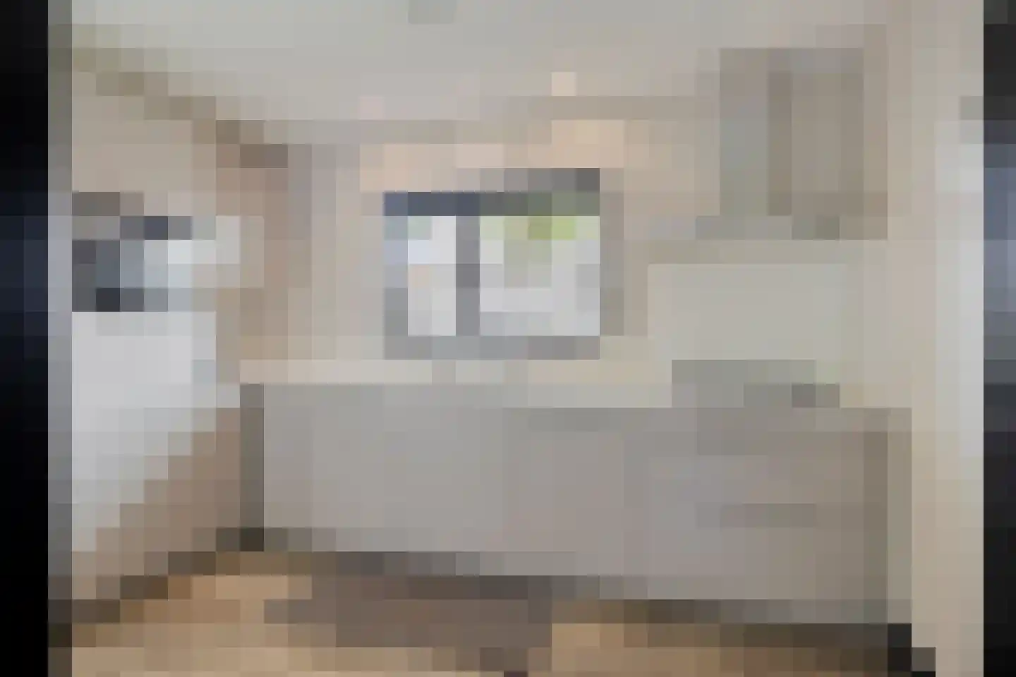 Rijf 31 Berghem thumbnail 13