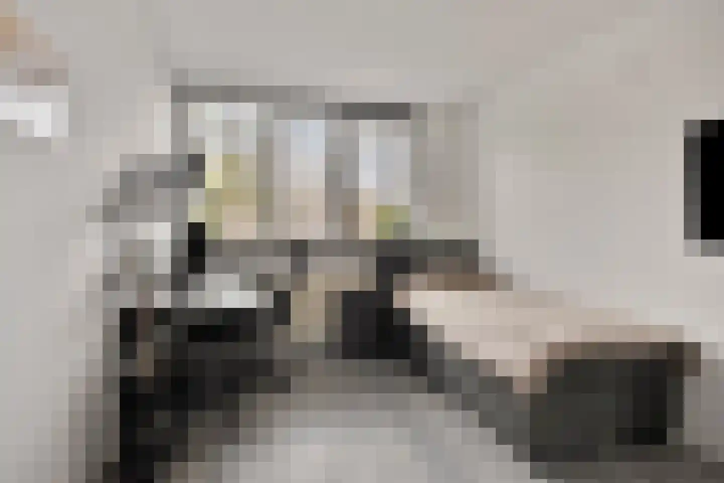 Rijf 31 Berghem thumbnail 18