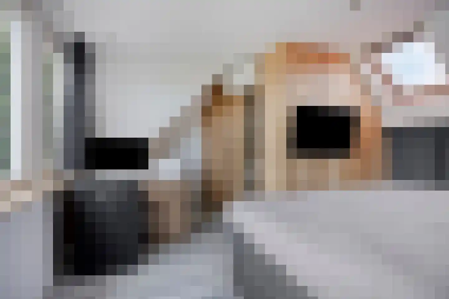 Rijf 31 Berghem thumbnail 26