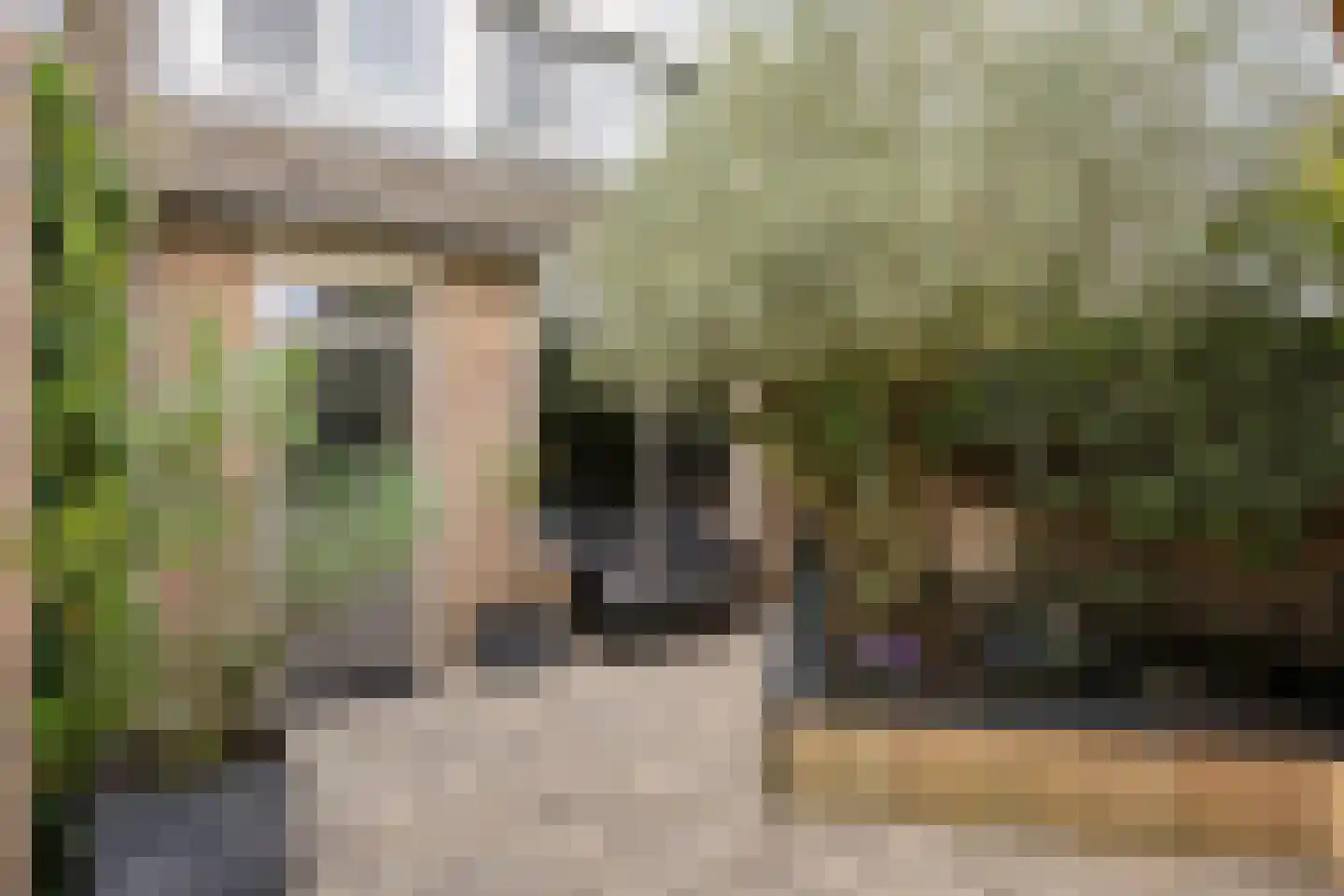 Rijf 31 Berghem thumbnail 29