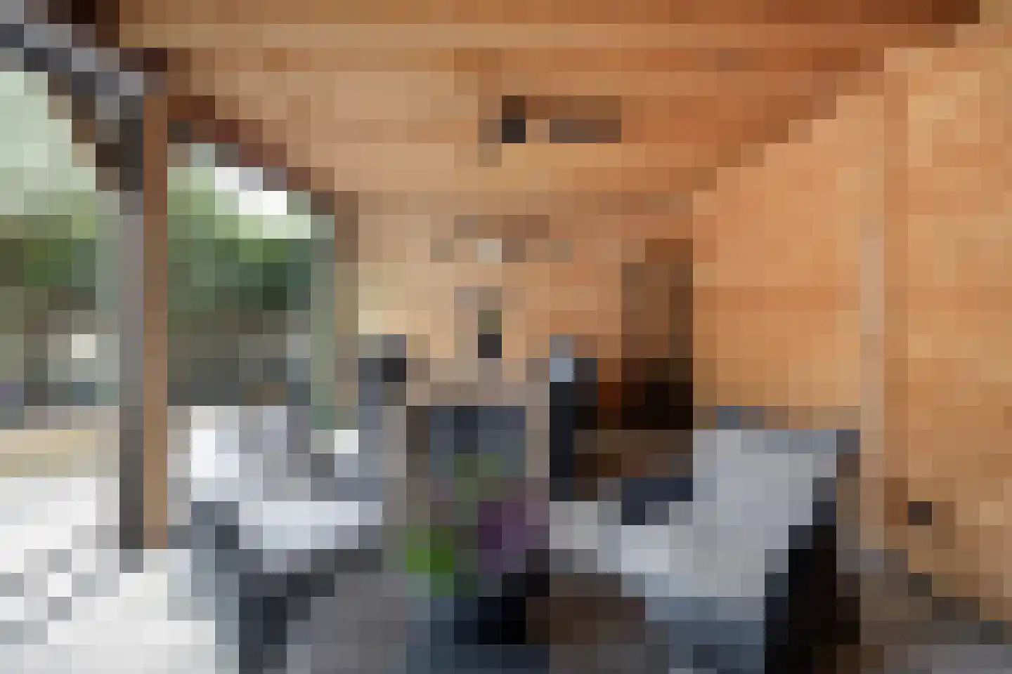 Rijf 31 Berghem thumbnail 31