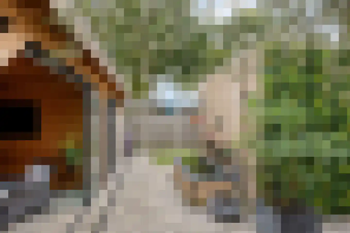 Rijf 31 Berghem thumbnail 33