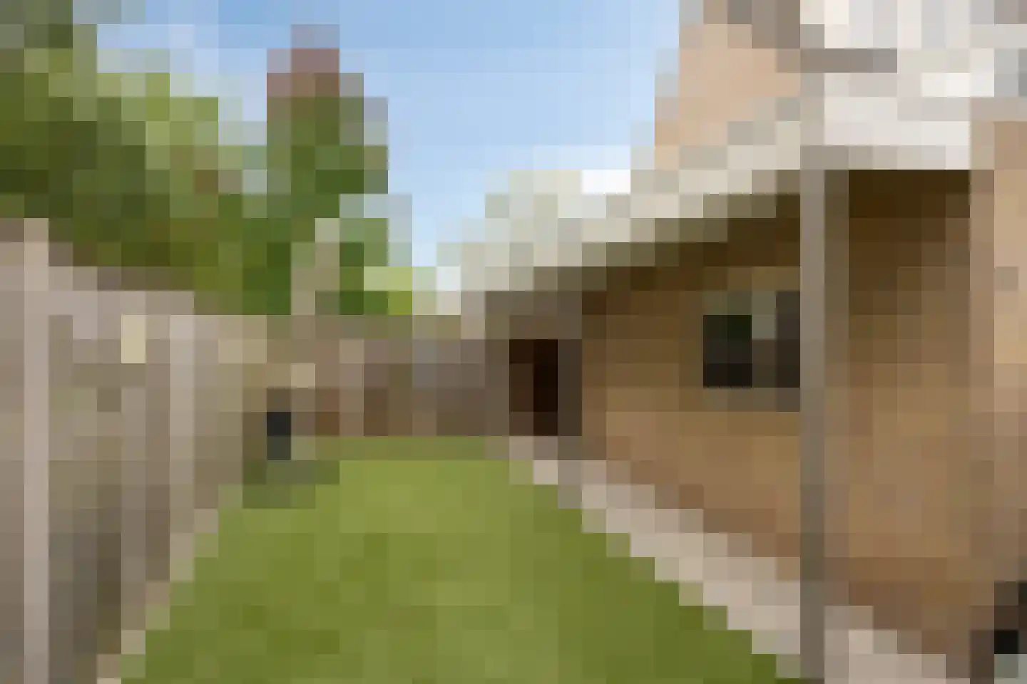 Rijf 31 Berghem thumbnail 34