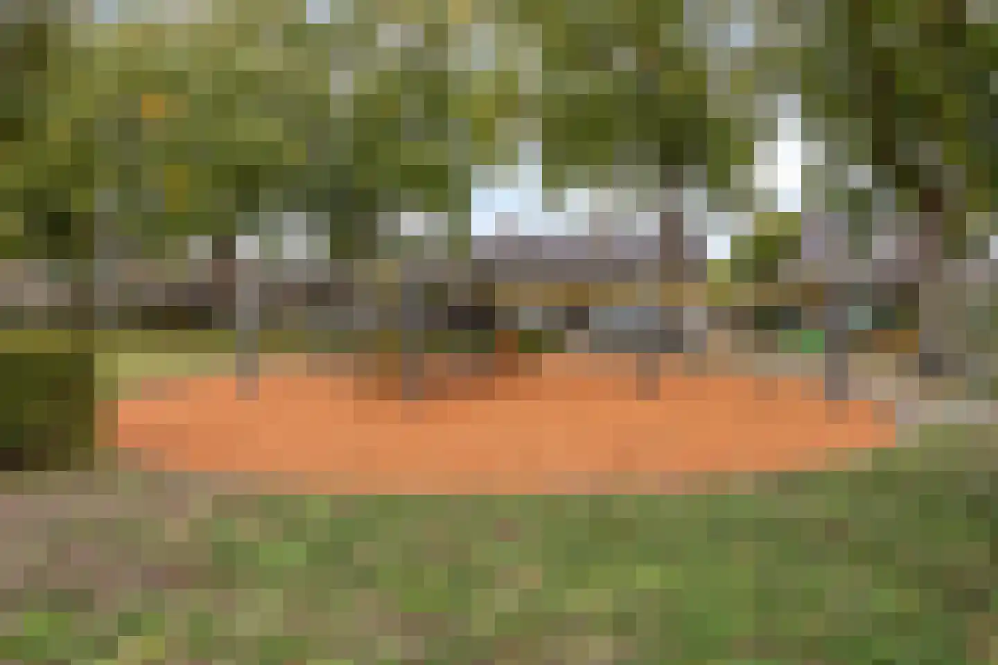 Rijf 31 Berghem thumbnail 37
