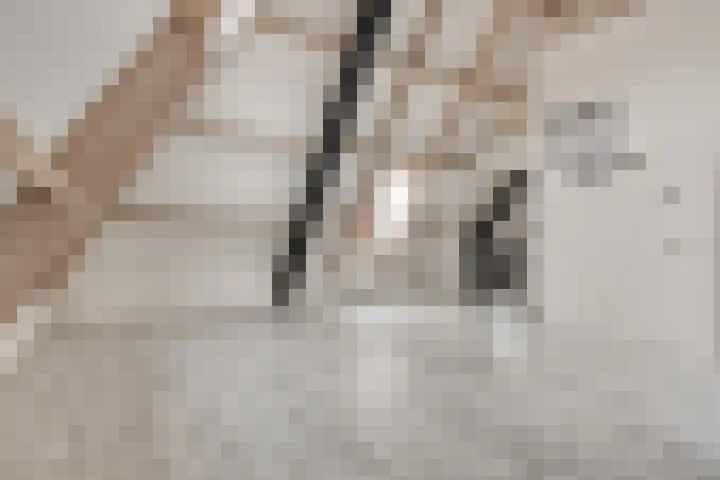 Rijfelstraat 17 Goes thumbnail 10