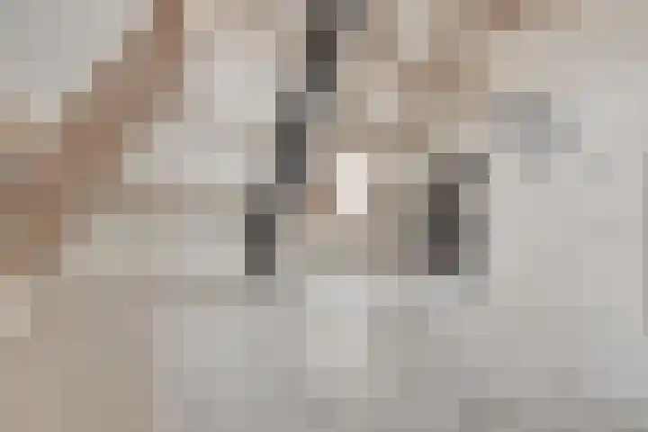 Rijfelstraat 17 Goes thumbnail 10