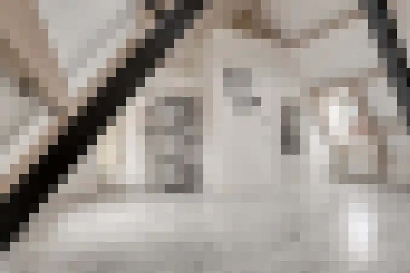 Rijfelstraat 17 Goes thumbnail 11