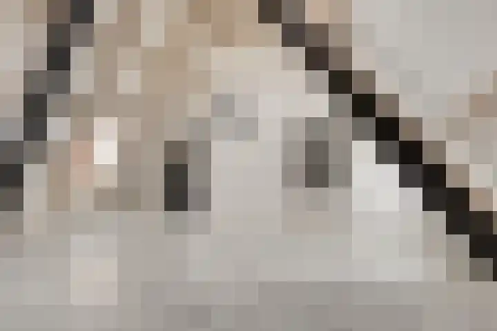 Rijfelstraat 17 Goes thumbnail 12