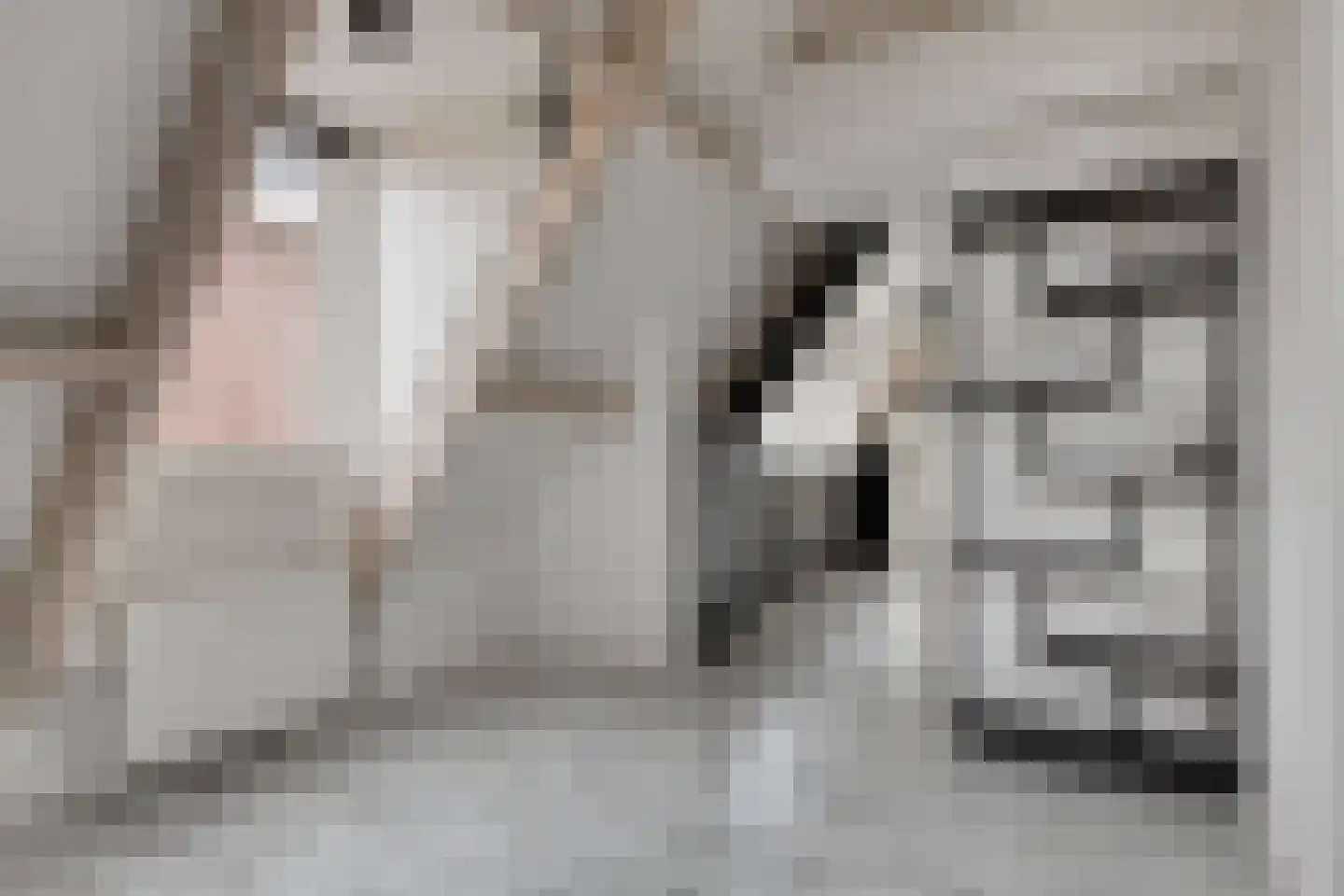 Rijfelstraat 17 Goes thumbnail 16