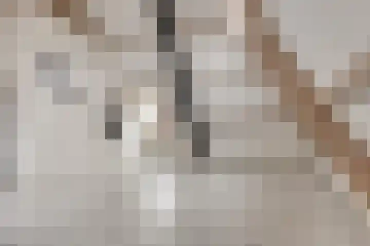 Rijfelstraat 17 Goes thumbnail 17