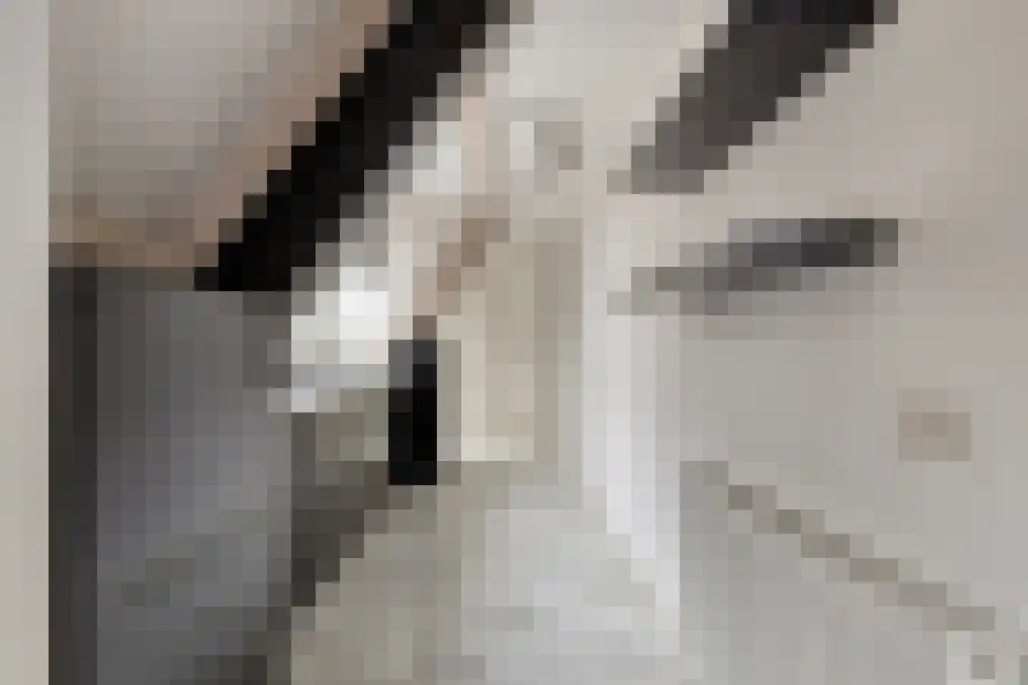Rijfelstraat 17 Goes thumbnail 18