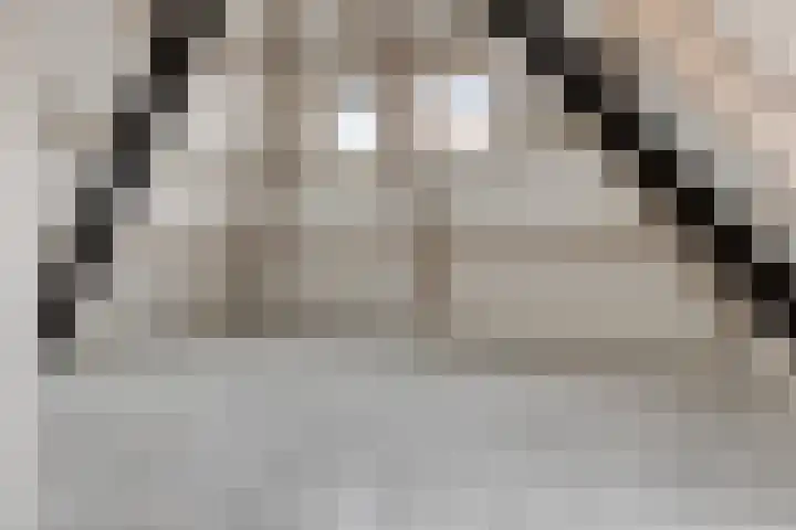 Rijfelstraat 17 Goes thumbnail 21