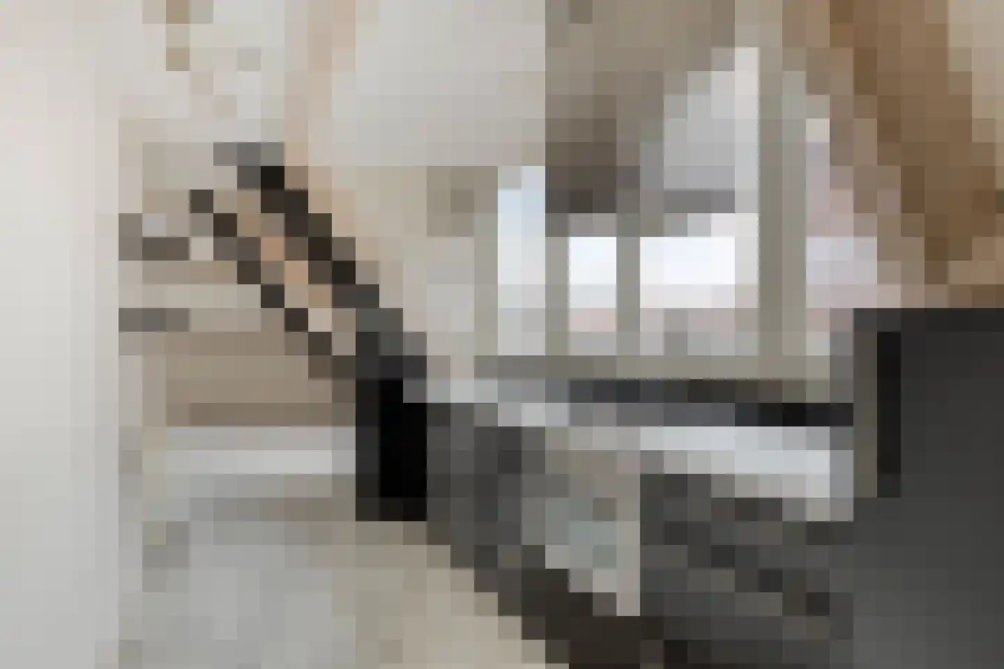 Rijfelstraat 17 Goes thumbnail 22