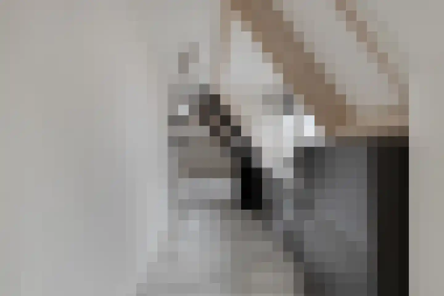 Rijfelstraat 17 Goes thumbnail 23