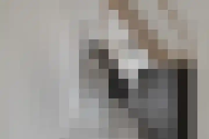 Rijfelstraat 17 Goes thumbnail 29