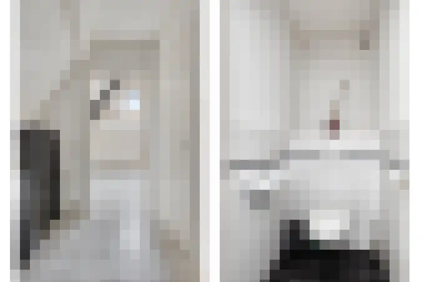 Rijfelstraat 17 Goes thumbnail 32
