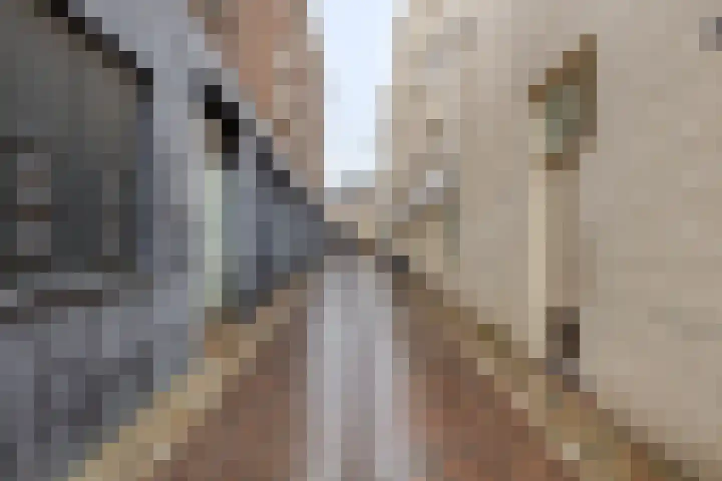Rijfelstraat 17 Goes thumbnail 37
