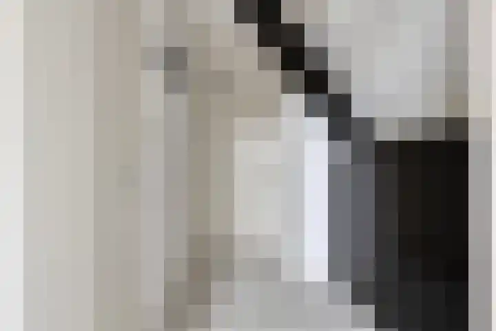 Rijfelstraat 17 Goes thumbnail 4