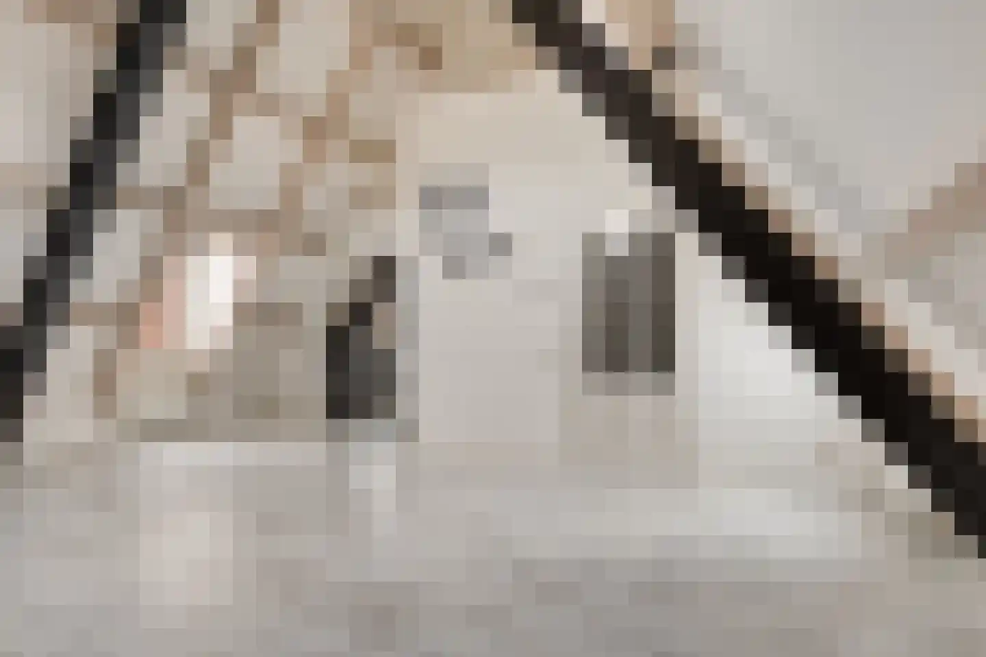 Rijfelstraat 17 Goes thumbnail 6