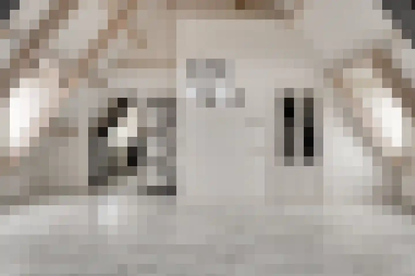 Rijfelstraat 17 Goes thumbnail 8