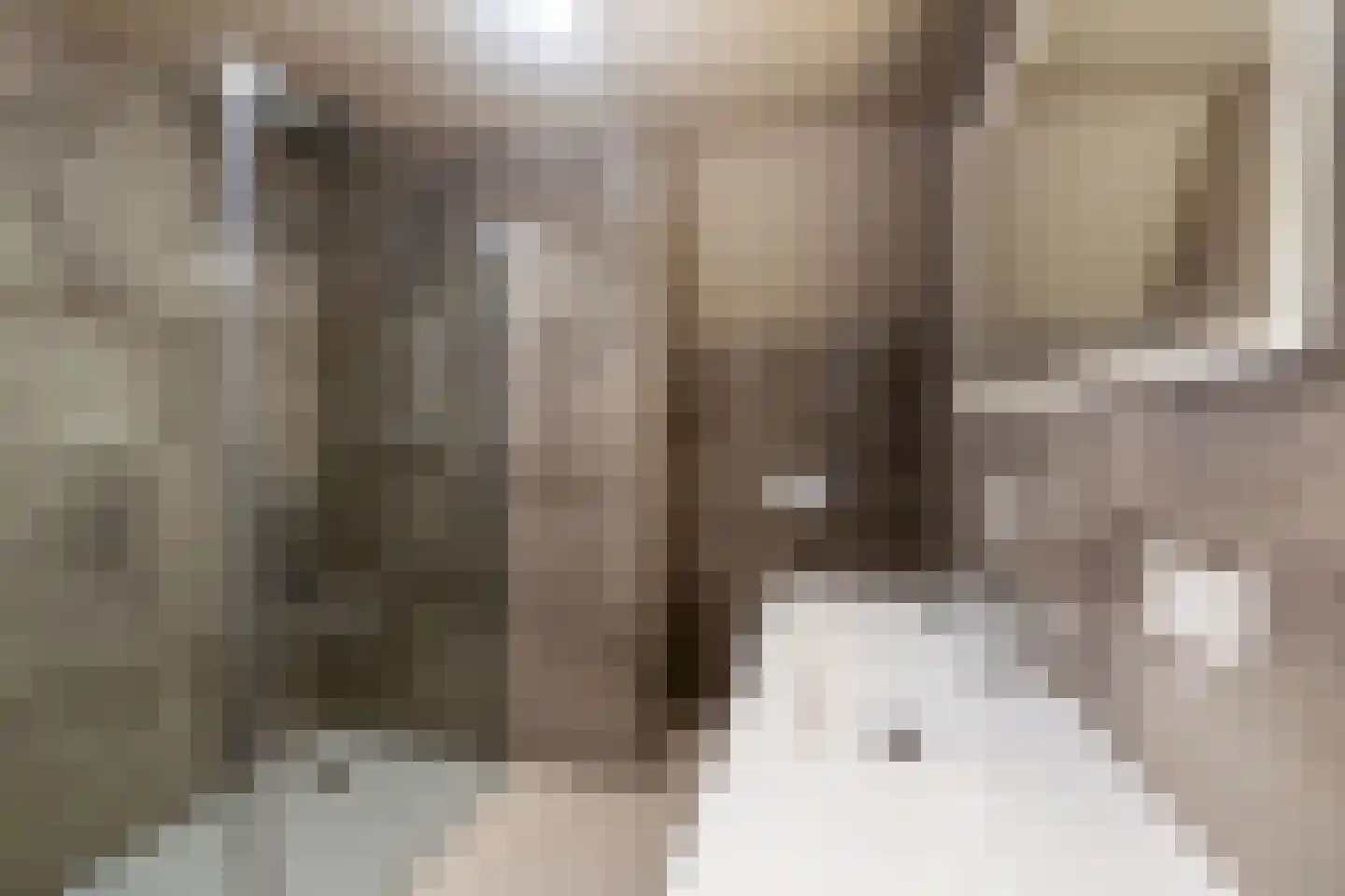 Rijfelstraat 4 F Goes thumbnail 10