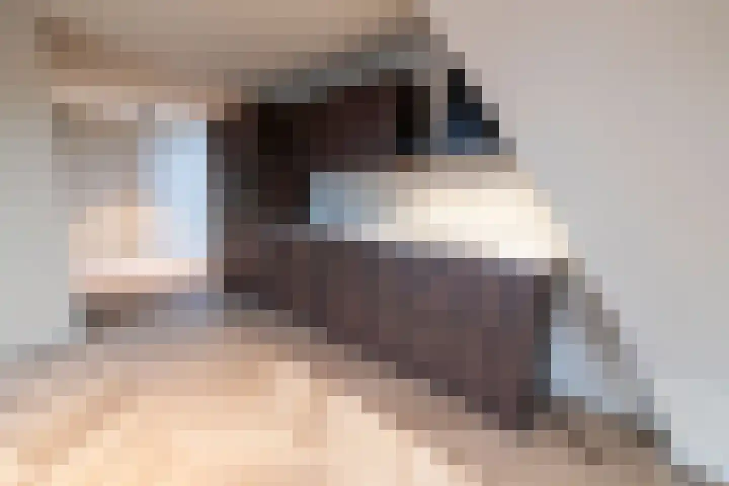 Rijfelstraat 4 F Goes thumbnail 4
