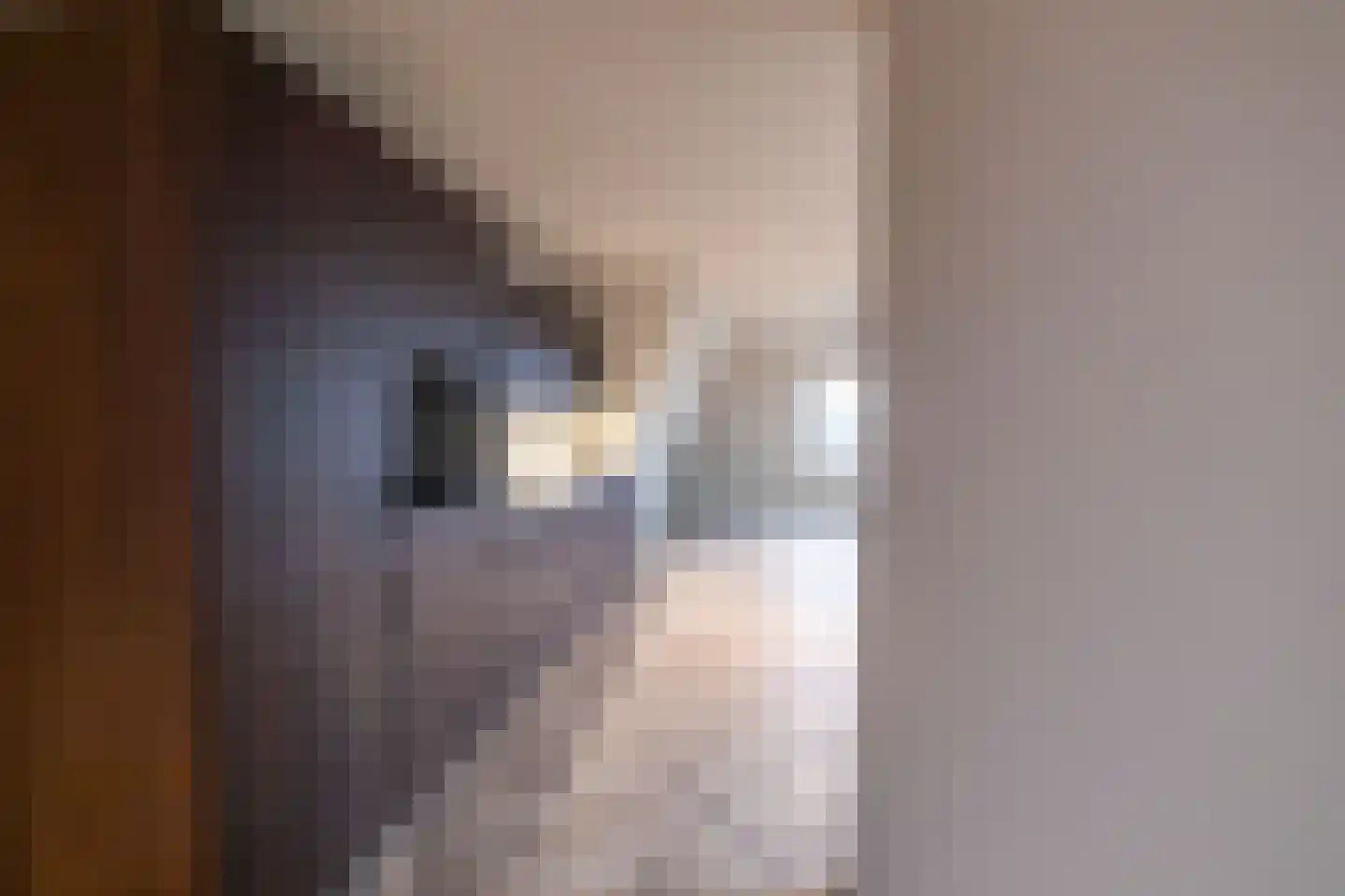 Rijfelstraat 4 F Goes thumbnail 5
