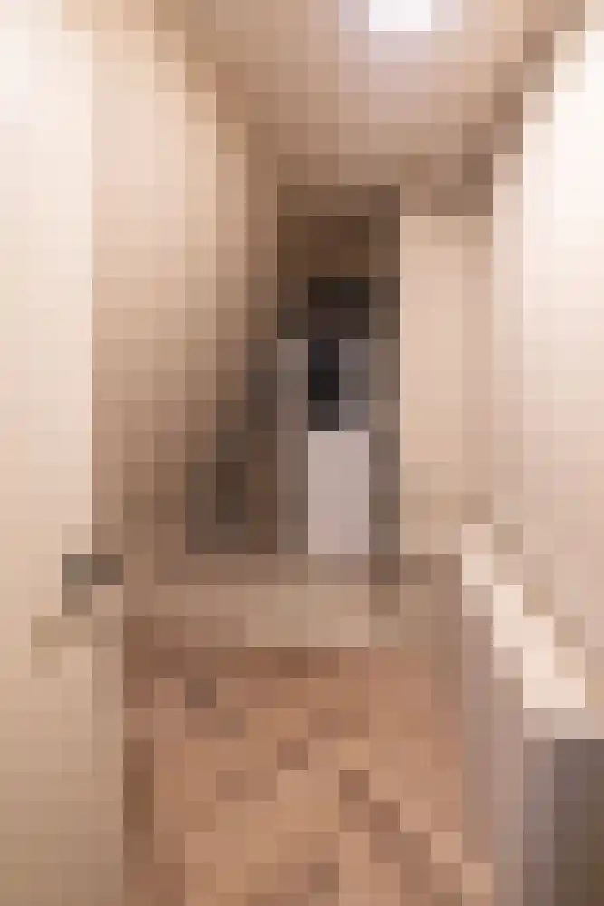 Rijfelstraat 4 F Goes thumbnail 8