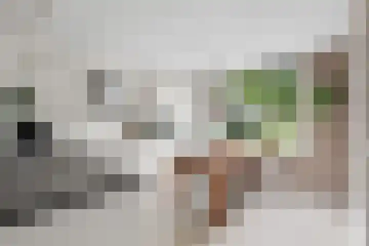 Rijfveld 8 Houten thumbnail 10