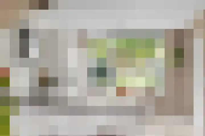 Rijfveld 8 Houten thumbnail 11