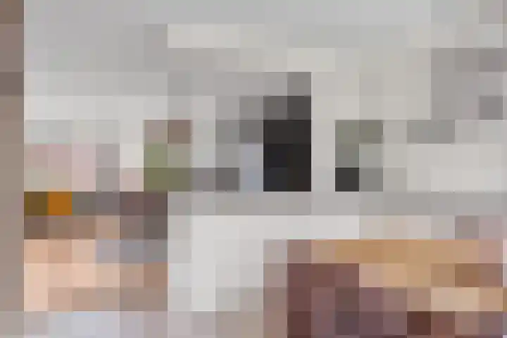 Rijfveld 8 Houten thumbnail 13
