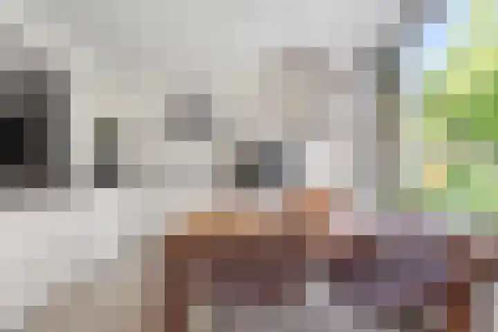 Rijfveld 8 Houten thumbnail 14