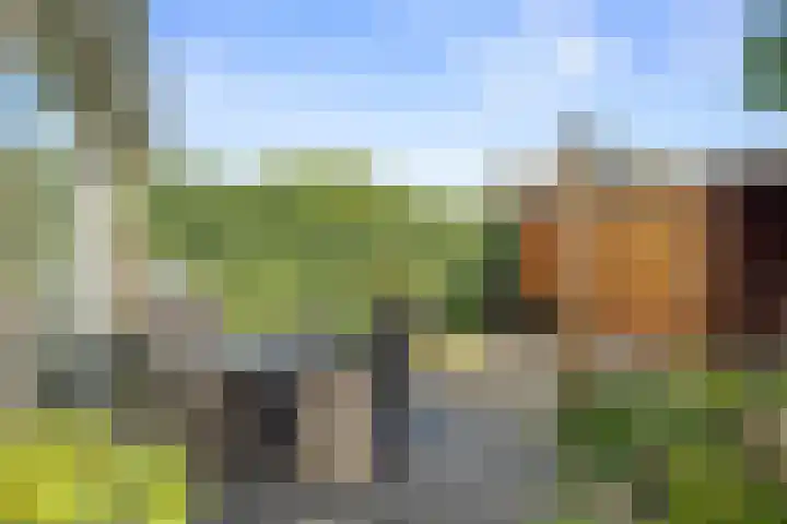 Rijfveld 8 Houten thumbnail 19