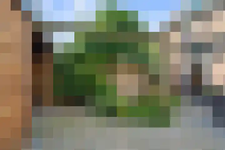 Rijfveld 8 Houten thumbnail 21