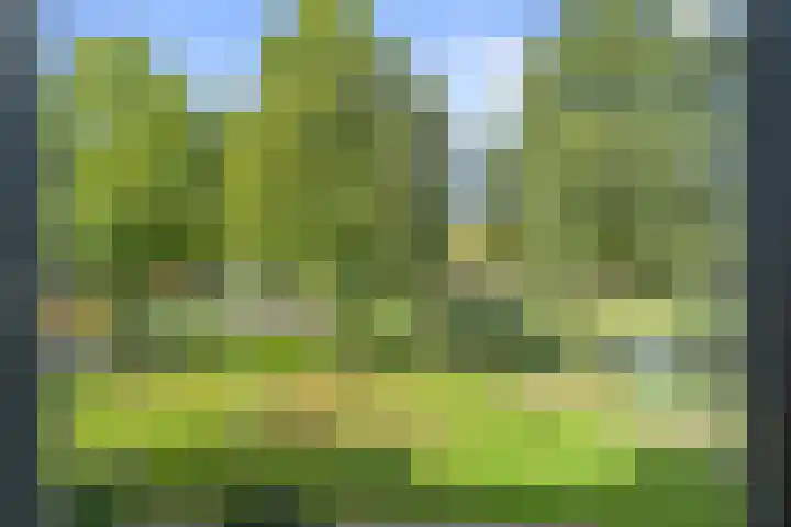 Rijfveld 8 Houten thumbnail 26