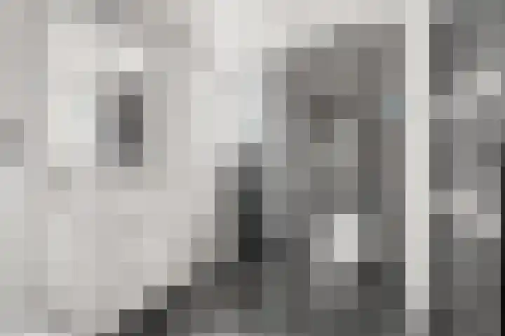 Rijfveld 8 Houten thumbnail 29