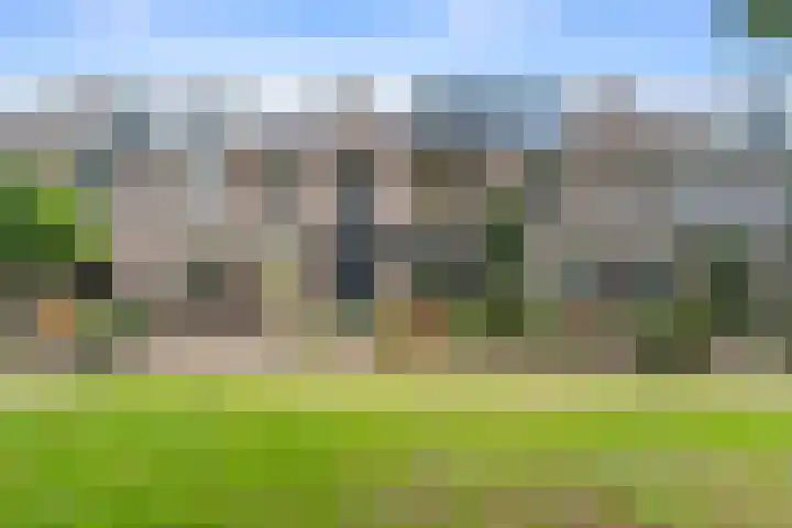 Rijfveld 8 Houten thumbnail 44