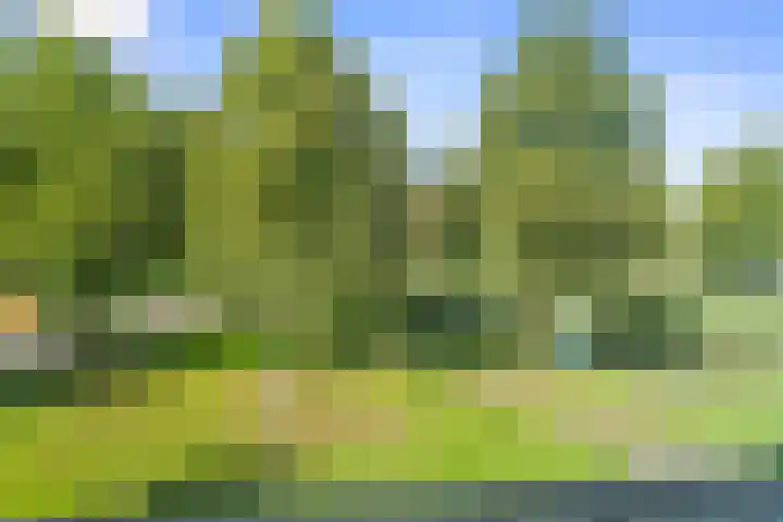 Rijfveld 8 Houten thumbnail 45