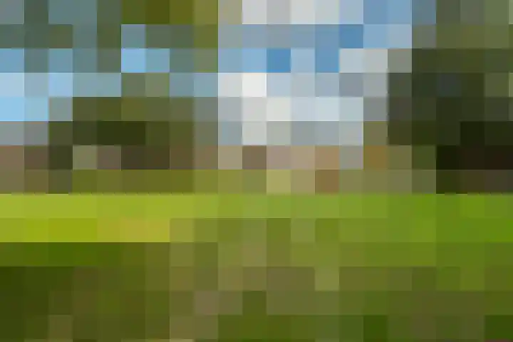 Rijfveld 8 Houten thumbnail 46