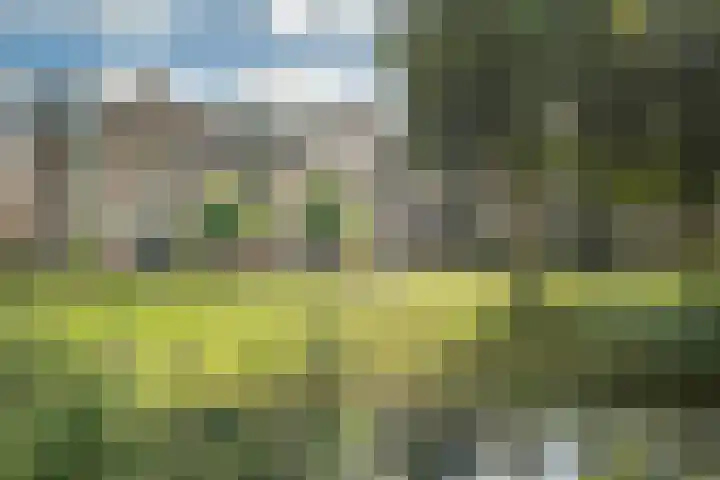 Rijfveld 8 Houten thumbnail 47