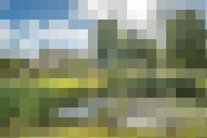 Rijfveld 8 Houten thumbnail 48