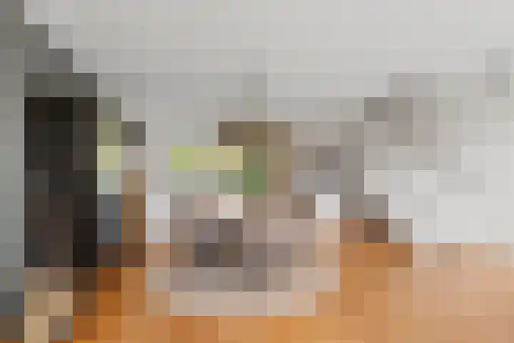 Rijfveld 8 Houten thumbnail 9