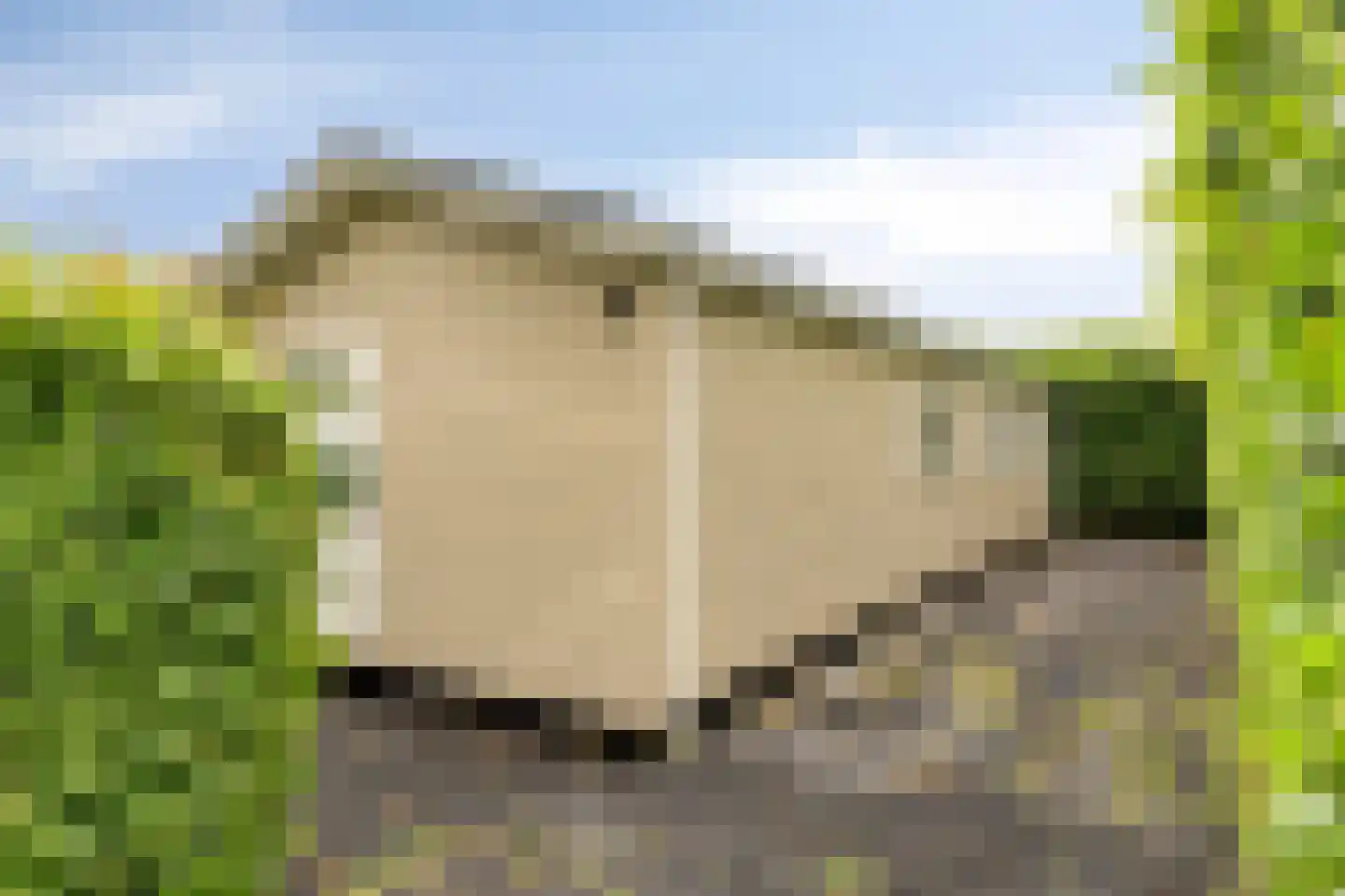 Rijk van Batouwe 16 Kesteren thumbnail 18