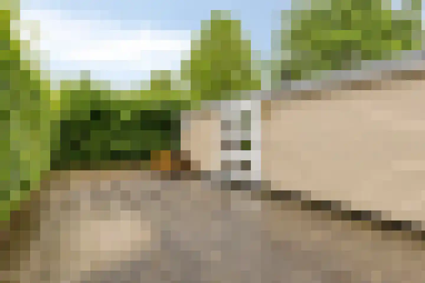 Rijk van Batouwe 16 Kesteren thumbnail 19